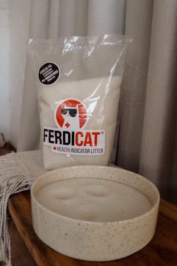 Ferdicat_egeszsegfigyelo_macskaalom_3