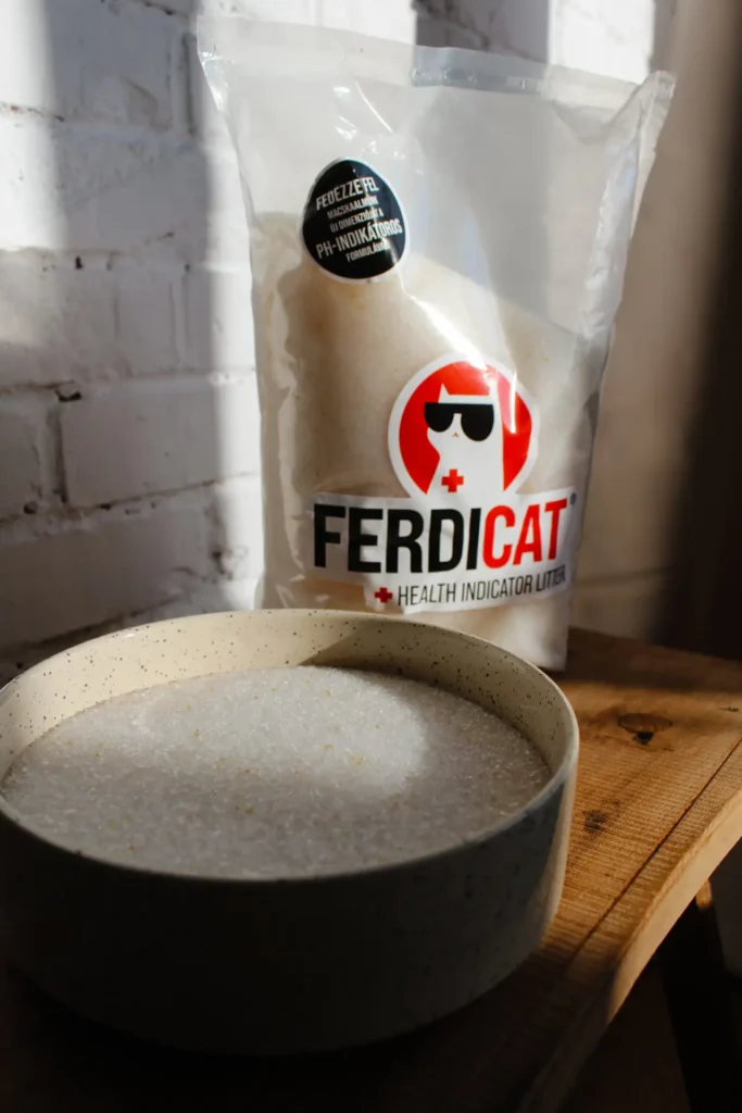 Ferdicat_egeszsegfigyelo_macskaalom_5